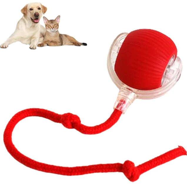 Smart Automatic Rolling Pet Ball