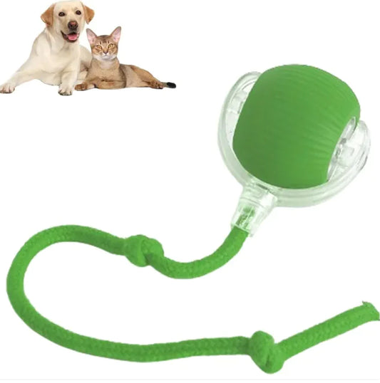 Smart Automatic Rolling Pet Ball